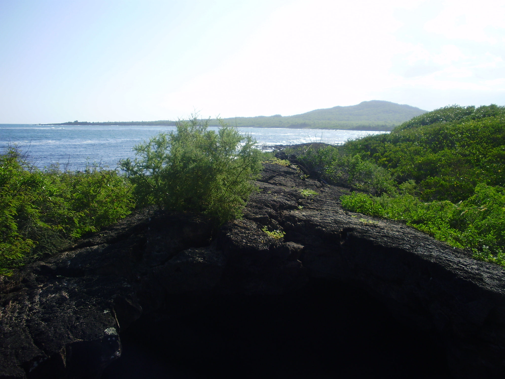 Turismo en America Latina - Galápagos